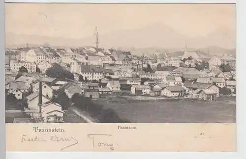 (109846) AK Traunstein, Oberbayern, Panorama 1903