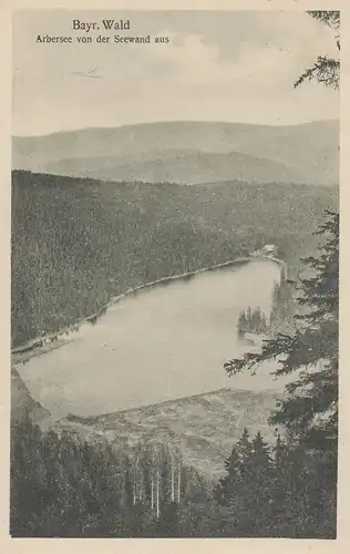 (108148) AK Arbersee im Bayr. Wald, Blick von der Seewand, 1926