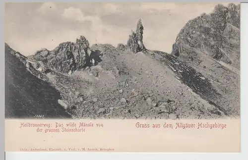 (107477) AK Gruss aus den Allgäuer Hochgebirge, Heilbronnerweg, Wildes Männle vo
