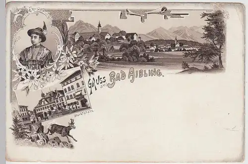 (107451) AK Gruss aus Bad Aibling, Totale, Marktplatz u. Tracht, Litho vor 1905