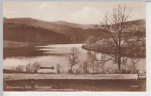 (107262) Foto AK Hauzenberg, Freudensee, 1928