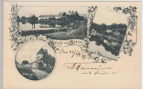 (107201) AK Gruss aus Seeon (Seebruck), Schloss, Walpurgis-Kapelle, 1899