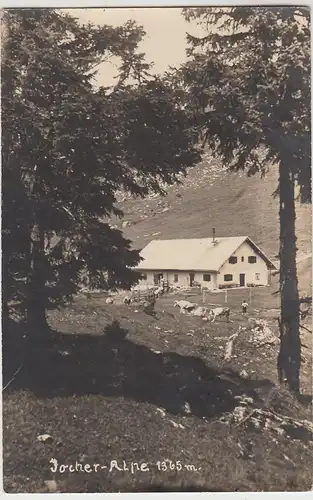 (107034) Foto AK Jocheralm Hütte, Jocher Alpe, Jochberg 1930
