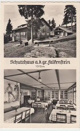 (107031) Foto AK Großer Falkenstein, Schutzhaus, Mehrbildkarte