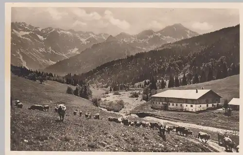 (106350) Foto AK Ostrachtal, Alpe Mittelhaus m. Nebelhorngruppe, 1939