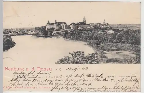 (106276) AK Neuburg an der Donau, Panorama 1902