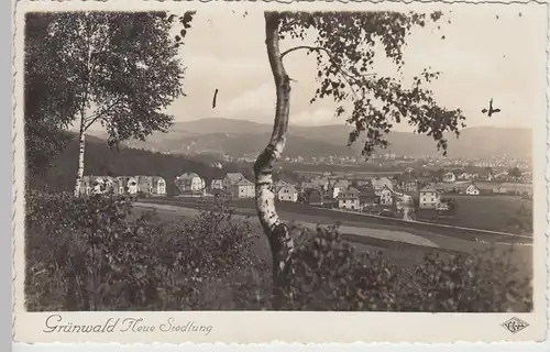 (105185) Foto AK Grünwald, Neue Siedlung, vor 1945
