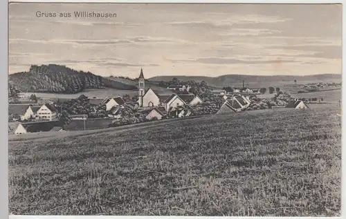 (103285) AK Gruss aus Willishausen, Panorama, 1920