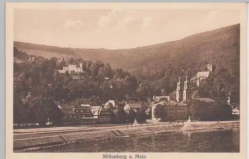 (101420) AK Miltenberg, Panorama, vor 1945