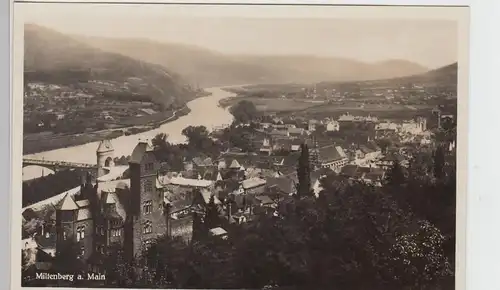 (101419) Foto AK Miltenberg, Panorama, vor 1945