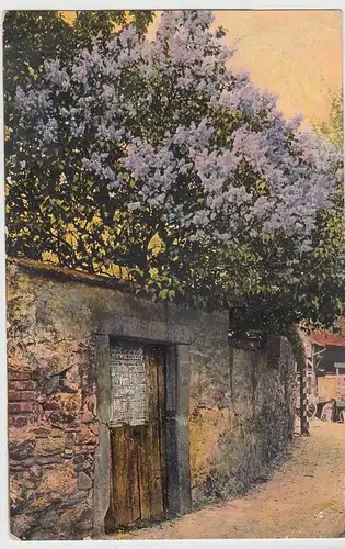 (98556) AK Alte Mauer mit Tür, Baumblüte, 1910
