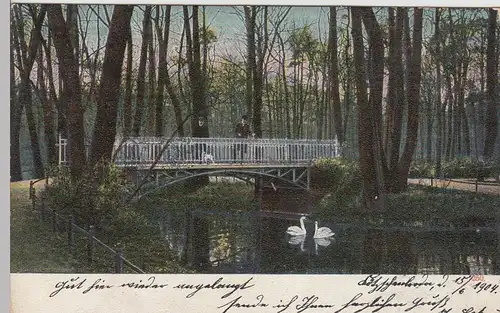(97859) AK Brücke im Park, Wald, unbekannt 1904