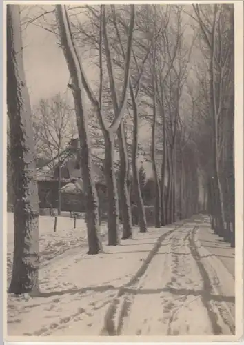 (5233) Foto AK Allee, Ortschaft unbekannt, Haus, Winter, vor 1945