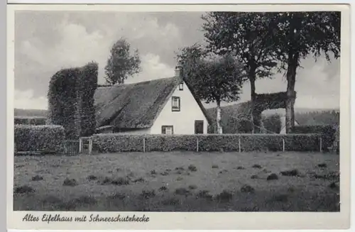 (13478) AK Altes Eifelhaus mit Schneeschutzhecke, vor 1945