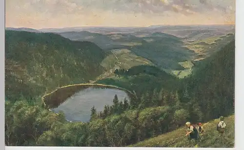 (98235) Künstler AK H. Hoffmann: Feldberg-Seebuck, Bl.a.d. Feldsee, vor 1945