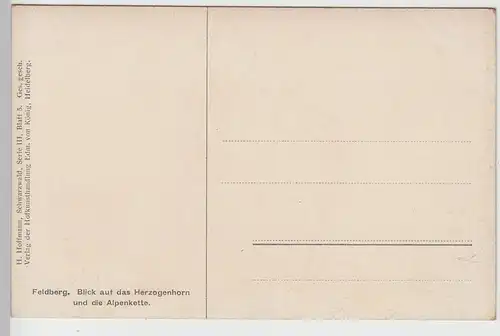 (98234) Künstler AK H. Hoffmann: Feldberg, Herzogenhorn, vor 1945