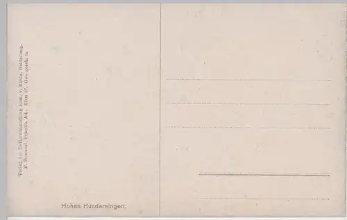 (98113) Künstler AK F. Hummel: Hohen Hundersingen (Münsingen), vor 1945