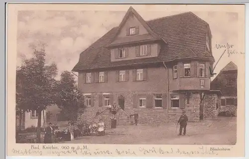 (98024) AK Bad Kniebis, Blindenheim, 1921