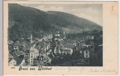 (97907) AK Gruss aus Wildbad, Gesamtansicht 1901