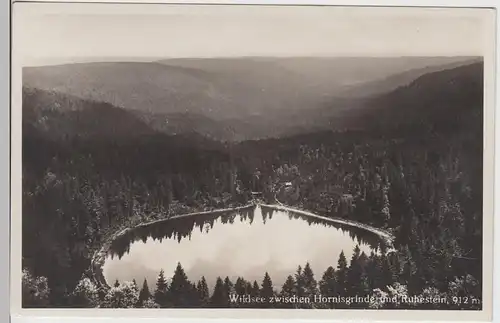 (97538) Foto AK Wildsee zwischen Hornisgrinde, Ruhestein 1929