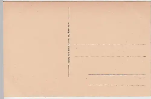 (97349) AK Friedrichshafen, Bodensee, Panorama, vor 1945