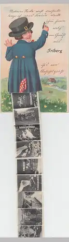 (96020) Künstler AK Triberg, Schwarzwald, mit Mini Leporello, vor 1945