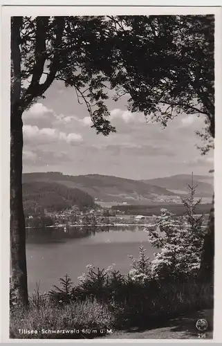 (96019) Foto AK Titisee, Schwarzwald, Blick über See, vor 1945