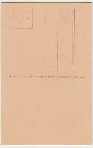 (96015) AK Bad Wildbad, Schwarzwald, Panorama, Sommerberg, vor 1945