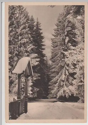 (95828) AK Königsfeld i. Schwarzwald, Doniswald, vor 1945