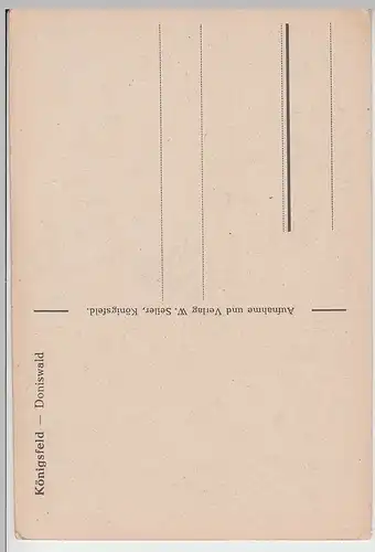 (95828) AK Königsfeld i. Schwarzwald, Doniswald, vor 1945