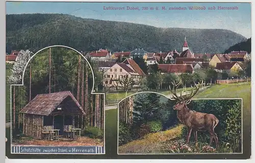 (95733) AK Dobel, Totale, Schutzhütte, 1921