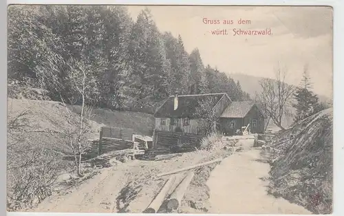(95731) AK Gruss aus dem württembergischen Schwarzwald, 1906