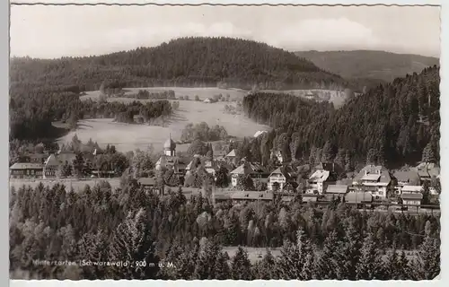 (95721) Foto AK Hinterzarten, Panorama, 1958
