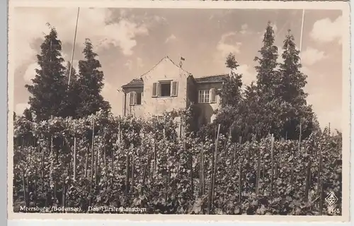 (95033) Foto AK Meersburg, Bodensee, Fürstenhäusle, Weinberg