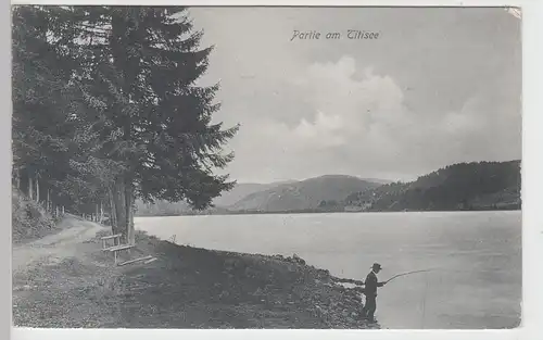 (92830) AK Titisee im Schwarzwald, Partie am See, 1906