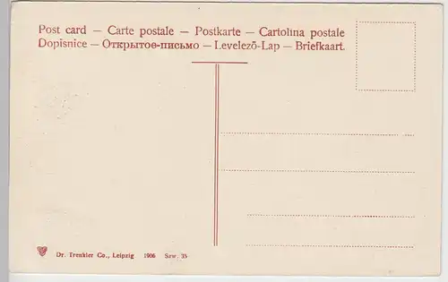 (92830) AK Titisee im Schwarzwald, Partie am See, 1906