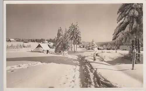 (89921) Foto AK Kniebis bei Freudenstadt, Wintermotiv