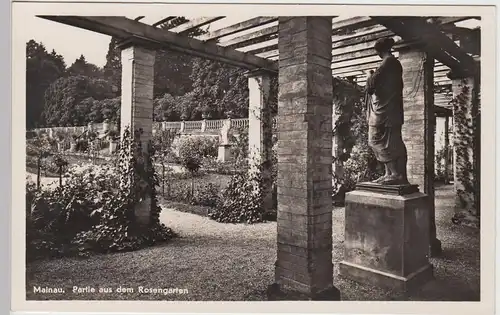 (87467) Foto AK Mainau, Partie aus dem Rosengarten, vor 1945