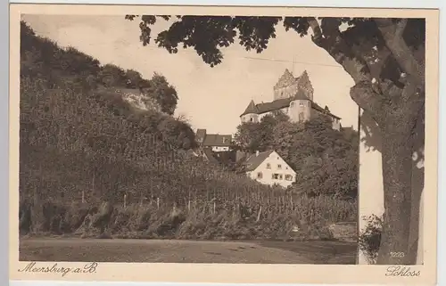 (85849) AK Meersburg, Bodensee, Burg, Schloss, vor 1945