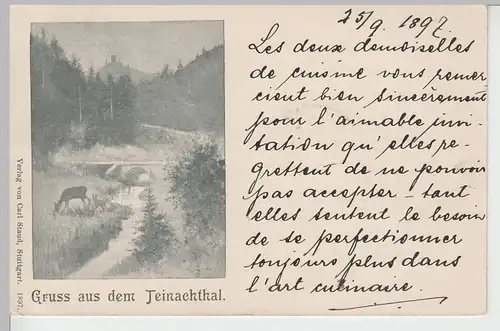 (84694) AK Gruss aus dem Teinachtal 1897