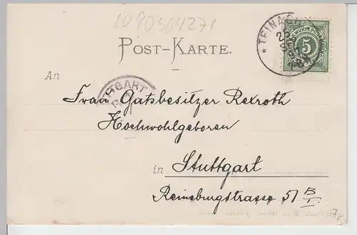 (84694) AK Gruss aus dem Teinachtal 1897