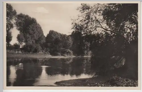 (84466) Foto AK Altrhein, bei der Mündung der Kleinfeldbach 1933