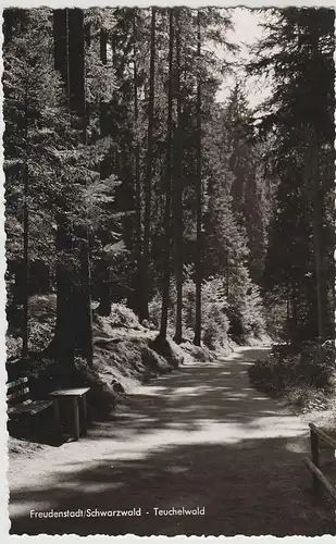 (83924) Foto AK Schwarzwald, Freudenstadt, Teuchelwald, nach 1945