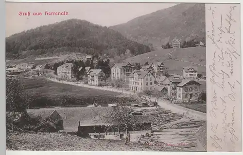 (81878) AK Gruss aus Herrenalb, 1902