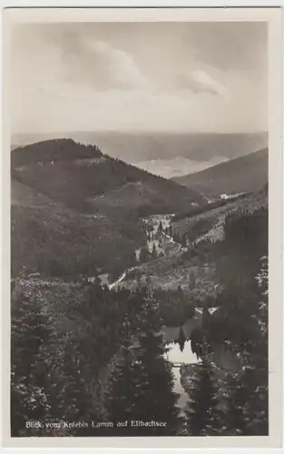 (8016) Foto AK Ellbachsee, Blick vom Kniebis Lamm, vor 1945