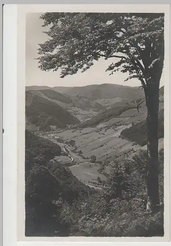 (79555) Foto AK Todtnauberg im Schwarzwald, Blick ins Wiesental, 1933