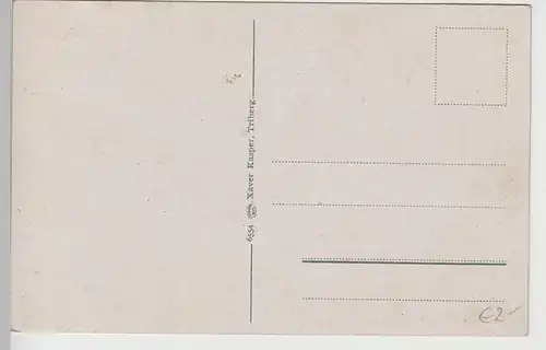 (78960) AK Triberg, Gesamtansicht, vor 1920