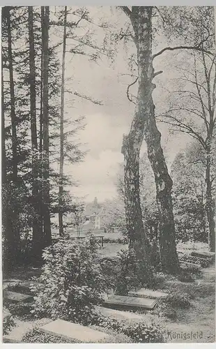 (76860) AK Königsfeld i. Schwarzwald, Friedhof, Bahnpost 1913