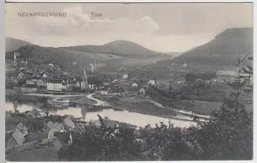 (7353) AK Neckargemünd, Panorama 1911