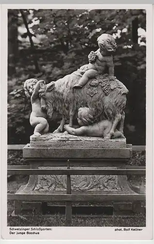 (73288) Foto AK Schwetzingen, Schloßgarten, Der junge Baccus, vor 1945